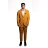 abito bharnaba philosophy UOMO SENAPE - LOTO - ABS802 vista frontale