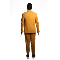 abito bharnaba philosophy UOMO SENAPE - LOTO - ABS802 vista posteriore