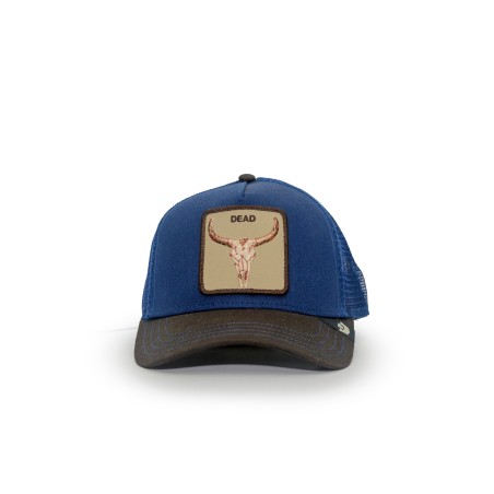 cappello goorin bros UNISEX BLU E MARRONE GALACTIC/COLA  - TWO-TONE SKULL - 101-2418-GALA02-O/S  vista frontale