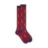 calze lunghe gallo UOMO MULTICOLORE 15626 STRELIZIA - AP516325 vista frontale