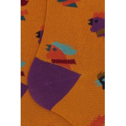 calze lunghe gallo UOMO GIALLE 15352  CURRY - AP514272 vista dettaglio