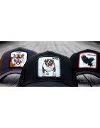 Cappelli